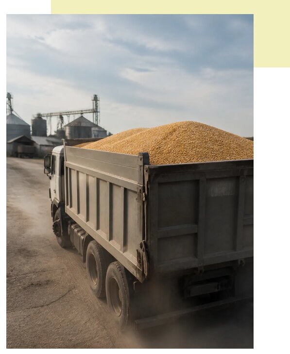 Перевозка сельхозпродукции навалом в Инту по цене от 3043 р. | Агросервис-Инт